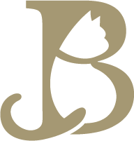 Baroness Logo - White_transparent